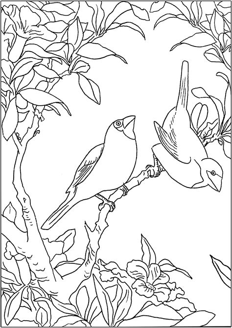 Coloring Pages Of Birds For Adults