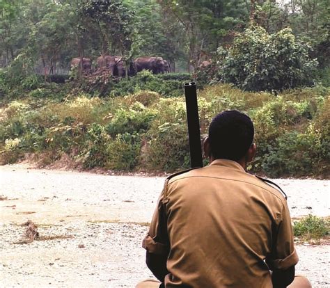 To monitor wildlife, Gorumara Wildlife Div makes use of hi-tech equipment