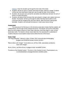 Image result for Magic Bone Lesson Plan