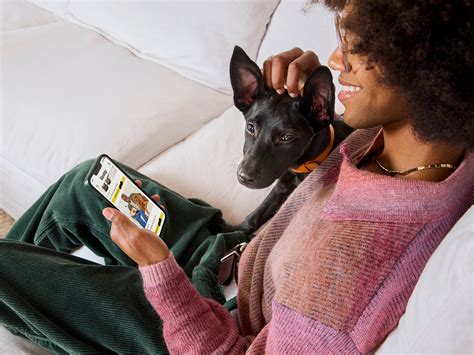 Can Cats Sense Pregnancy? What the Research Says · Kinship · Kinship