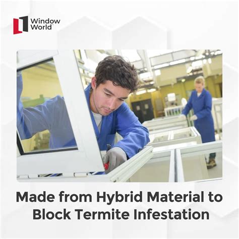 Termites at Windows 的图像结果