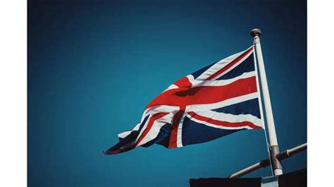 teamLab Planets, Van Gogh museum and other most searched museums on ...