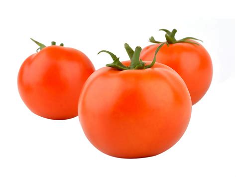 Determinate Round-Starke Ayres | Starke Ayres