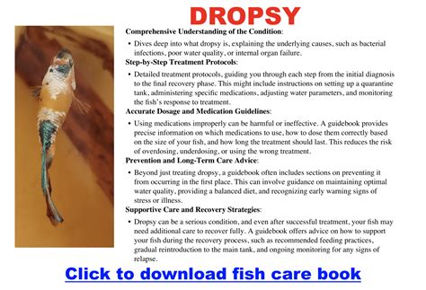 What Is Betta Fish Dropsy & How To Treat It – Wild Betta Blog | How To ...