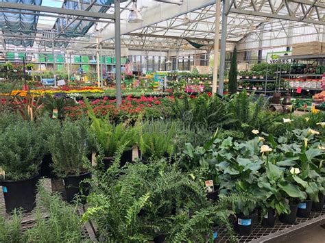 Image result for Lowe's Flower Garden