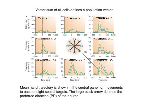 Count Vector Algorithm 的图像结果