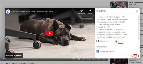 Image result for Image and Media HTML Example