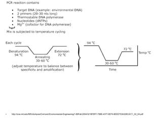 PCR Lecture 的图像结果