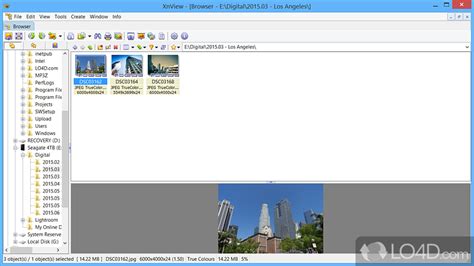 Image result for XnView Acquire into Screen