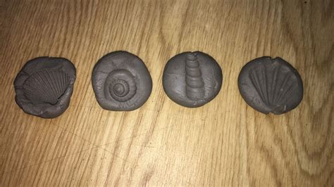 Discovering Fossils: An Exciting Lesson for Kids