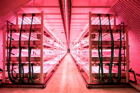 High-Tech Farm 的图像结果