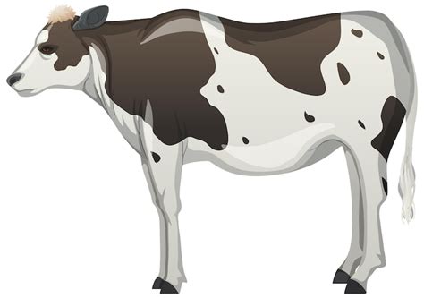 Vaca Animal Bilder - Kostenloser Download auf Freepik