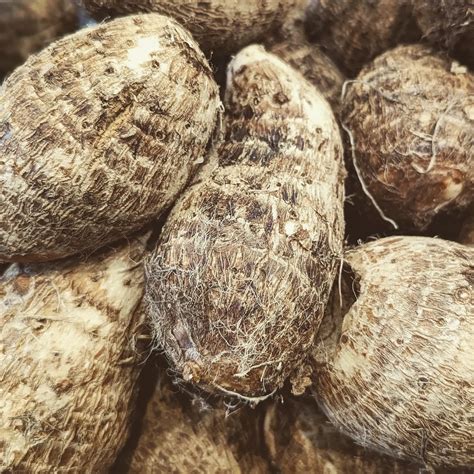 Mariposa Food Co-op | Native to Costa Rica, nampi is a root vegetable ...