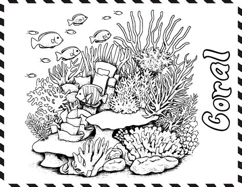 Coral Reef Coloring Pages Drawing For Kids Vector, Coral Reef Coloring ...