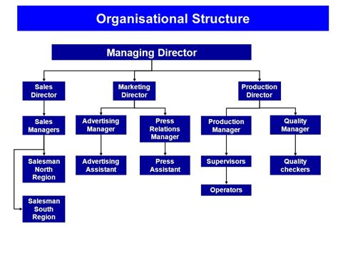 Management Structure 的图像结果