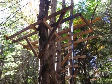 Image result for Tree Stand Platform Build