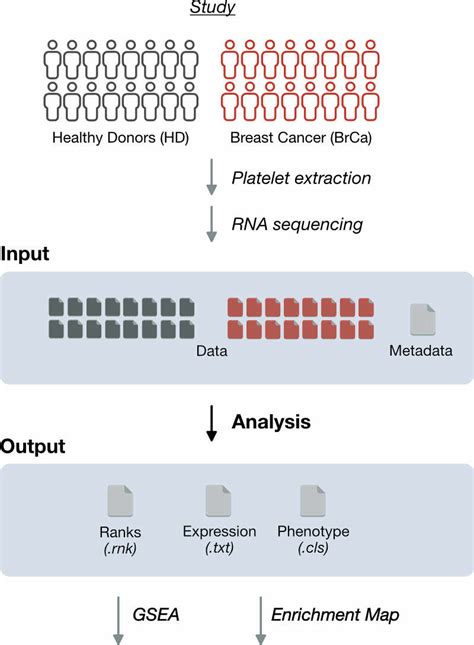 Process Body 的图像结果