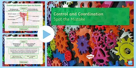 Spot the Mistake: Control and Coordination PowerPoint