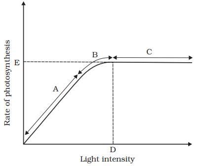 Factors Affecting Photosynthesis Free MCQ Practice Test with Solutions ...