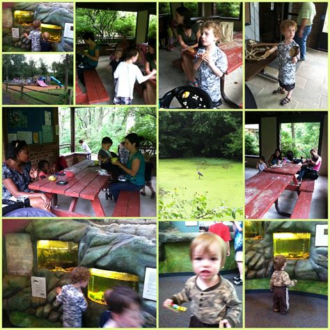 Fairfax County Park and Playground Listings and Reviews