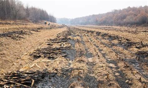【问政德州】农田灌溉设施损坏 农民面临浇水难 -大略网