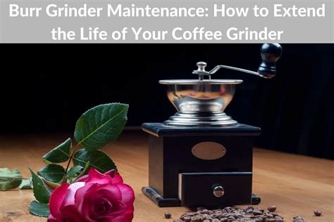 Image result for Grinder Machine Maintenance