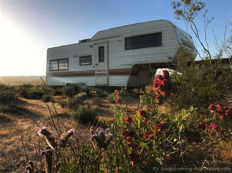 Spring wildflowers while RV camping on BLM land along Cuddeback Road in ...