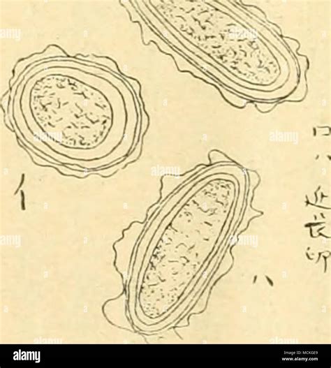Systematic symbols hi-res stock photography and images - Alamy