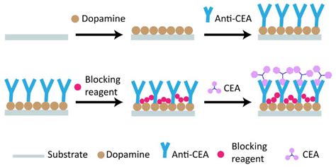 Determination of Tumor Marker Carcinoembryonic Antigen with Biosensor ...