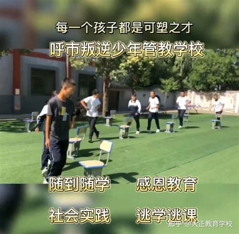 孩子上初二不想上学了怎么办 - 大黄蜂教育