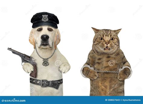 Dogs With Guns Vs Cats With Guns