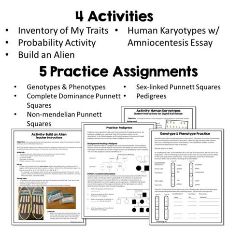 Image result for Genetic Inheritance Free Science Lessons