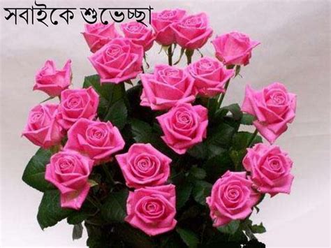 Image result for 5 Class Science Lesson 8