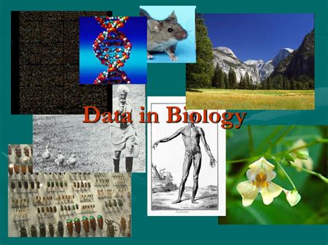 Image result for Collect Data in Biology Examples