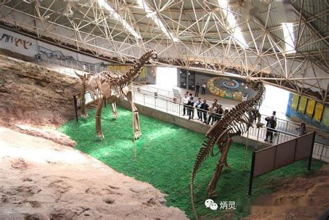 甘肃刘家峡恐龙八项国内之最_化石群