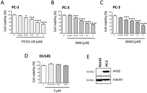 FYCO1 Peptide Analogs: Design and Characterization of Autophagy ...