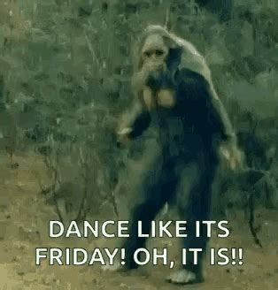 Happy Friday Funny GIFs | GIFDB.com