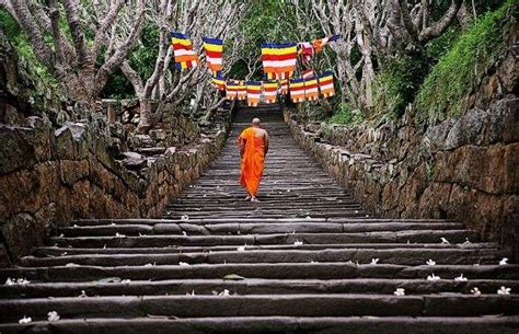 10 Reasons You Should Visit Sri Lanka