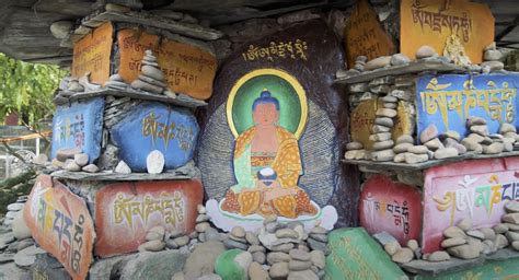 Dharamshala: The Little Lhasa (2024)