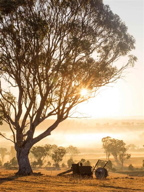 ACHILLFARM™ – ZEGNA’s Finest Merino Wool | ZEGNA BG