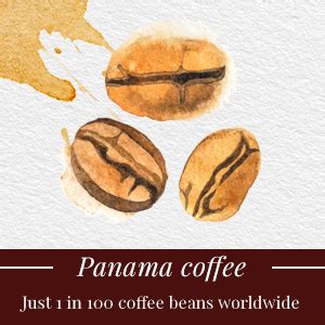 Sunbean Gourmet Coffee Panagiri – Roasted & Ground Coffee Powder – 100g ...