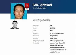 Image result for Qinxuan Pan sentenced