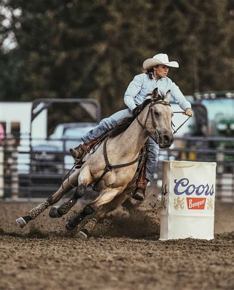 Barrel Racing Horses