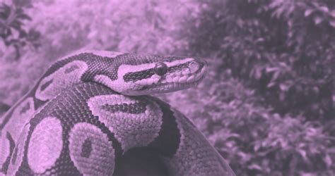 Image result for Machine Learning Models in Python