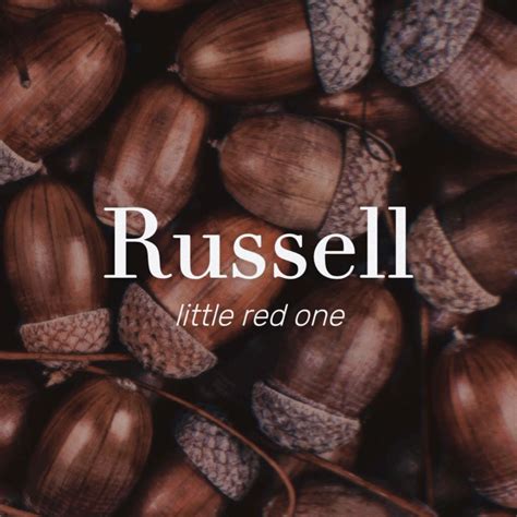 Meaning Of Russell Name