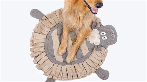 Ethical & Eco-friendly Pet Gift Ideas – Koparo Clean