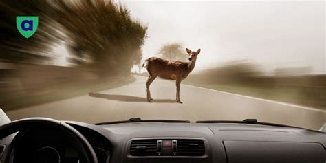 Image result for Alberta Insurance Example