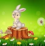 Image result for Bunny Cartoon Shutterstock