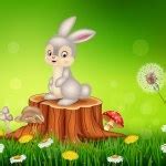 Image result for Cute Profile Bunny Cartoon