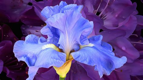 Download Hyper Realistic Purple Iris Flower Painting Wallpaper ...